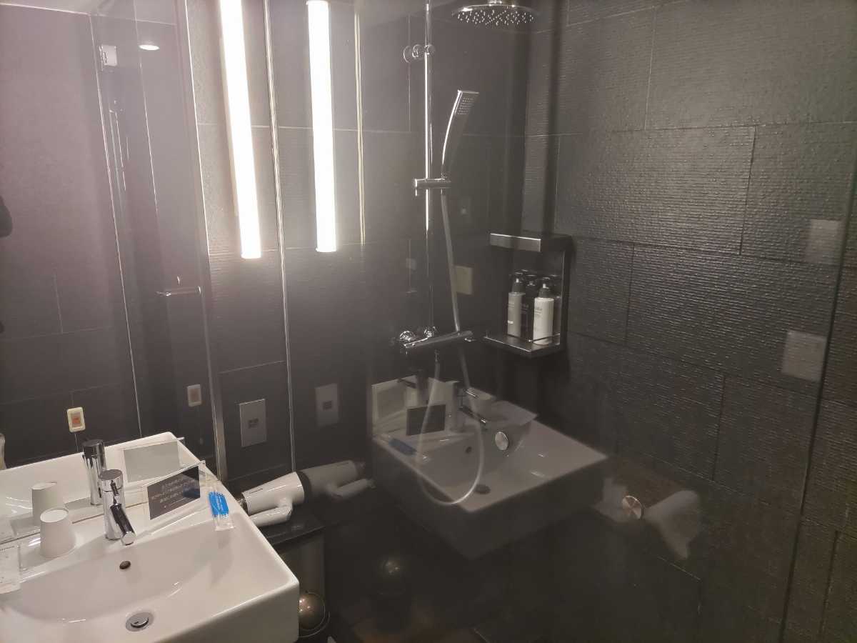 JGC修行6日目-HND-ISG往復_25