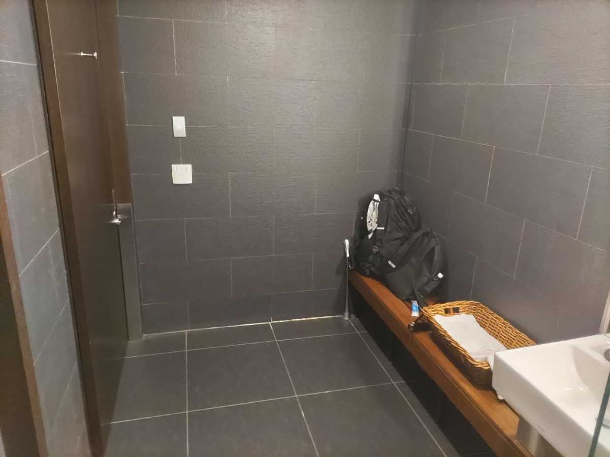 JGC修行8日目－HND-ISG往復_04