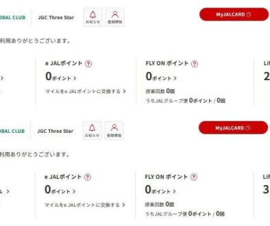 JAL Payで実質的にLSPとマイルを買う