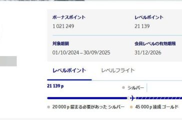 SASのキャンペーンで100万ユーロボーナスポイントを獲得