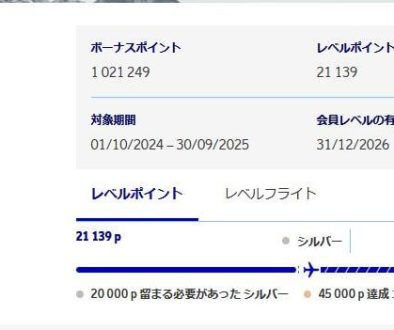 SASのキャンペーンで100万ユーロボーナスポイントを獲得