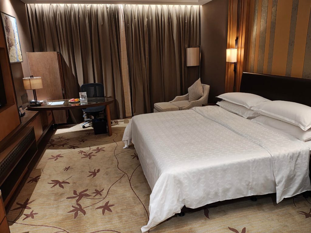 ユーロボーナスミリオネアへの旅その15_TPE-HGH